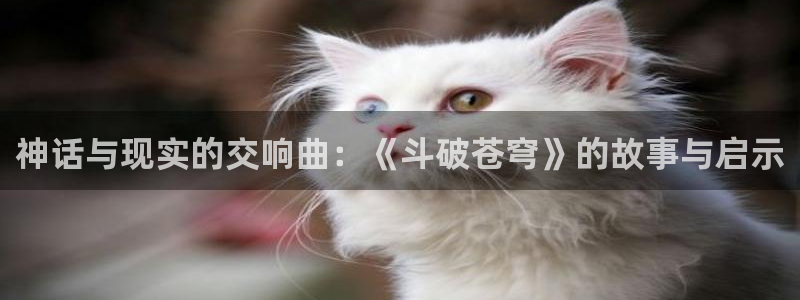 酷漫屋下拉式(免费漫画)官方网